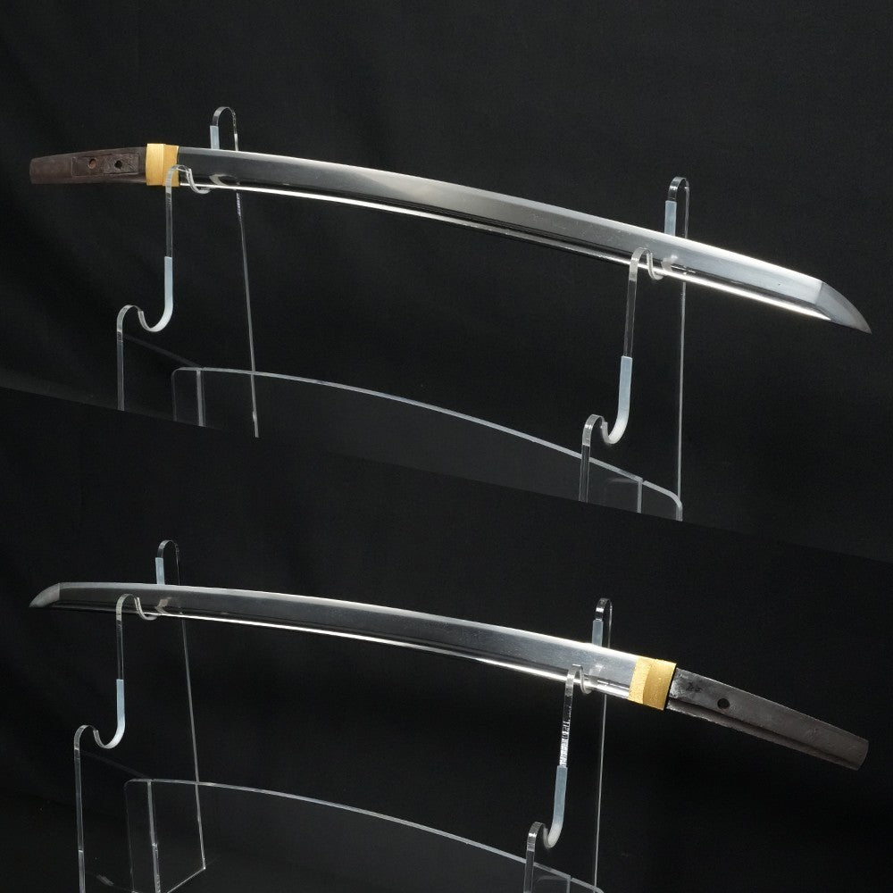 Japanese Sword Wakizashi Sirasaya Yoshitsugu(late Muromachi period)19.60in NBTHK2