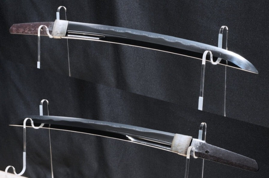 Antique Japanese Wakizashi Inshu Ju Toshitsuna 15.39in Shirasaya NBTHK From JPN7