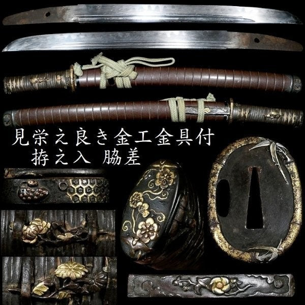 Japanese Katana Unsigned Mumei Tsuba-Tōryūsai Wakizashi Koshirae 12.63 in0