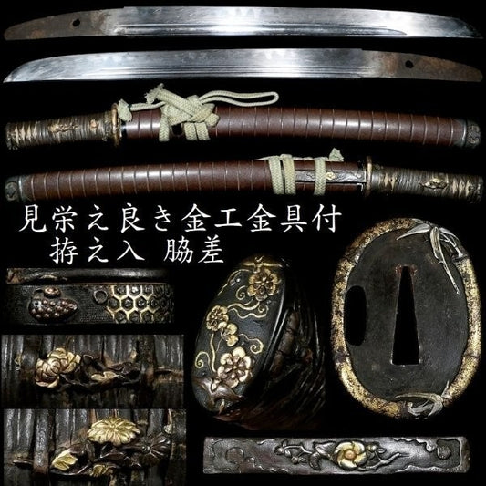 Japanese Katana Unsigned Mumei Tsuba-Tōryūsai Wakizashi Koshirae 12.63 in0