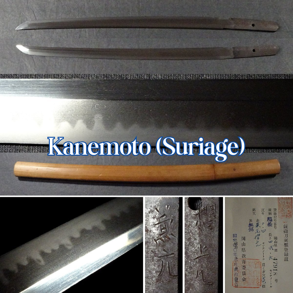 Japanese Sword “Kanemoto, tang shortened (suriage) Wakizashi Katana Shirasaya