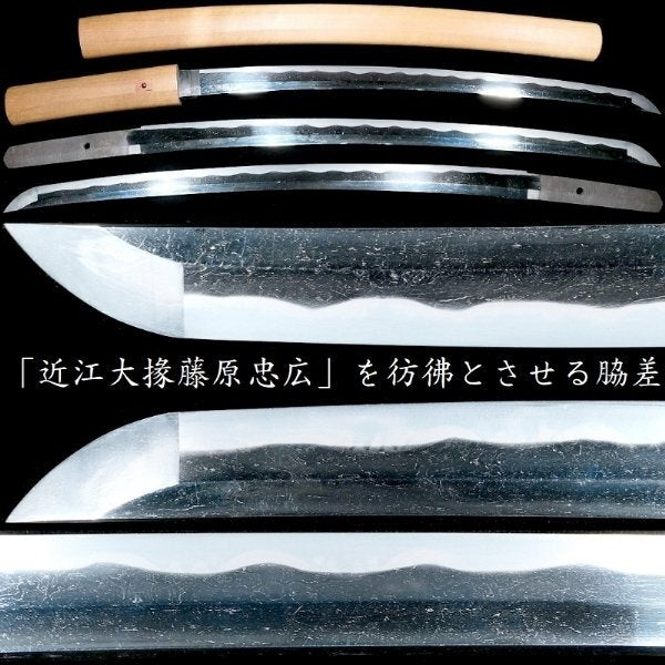 To Alexander, Japanese Antique Wakizashi Sword Shirasaya Mumei 18.07in from Japan