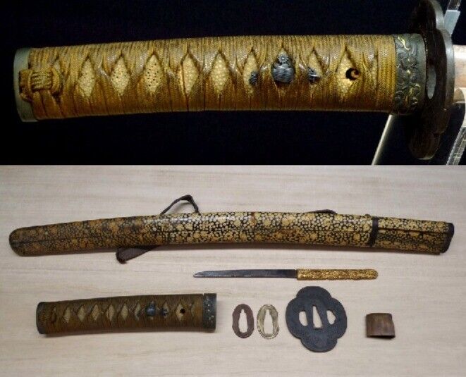 Japanese Sword Antique Wakizashi Koshirae 摺上無銘 Mumei 18.8 inch From Japan Katana