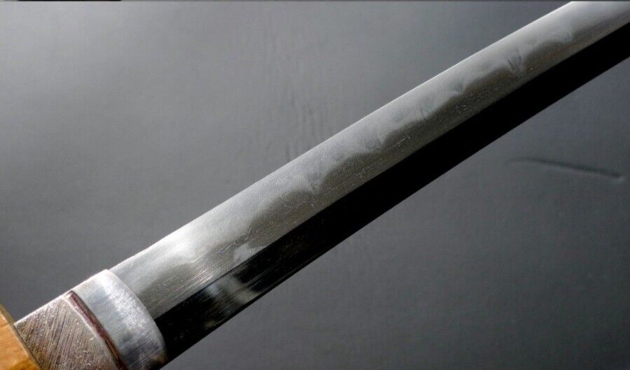 Japanese Sword Antique Wakizashi Shirasaya 兼武 Kanetake 20.1 in From Japan Katana