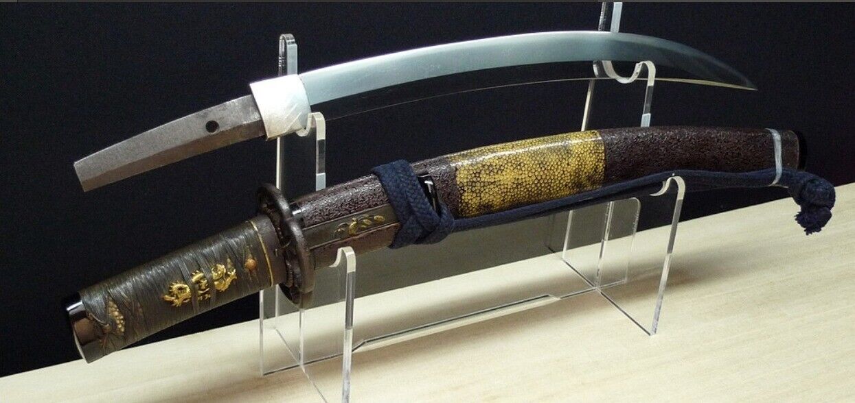 Japanese Sword Antique Wakizashi Shirasaya 無銘 Mumei 13.3 inch From Japan Katana
