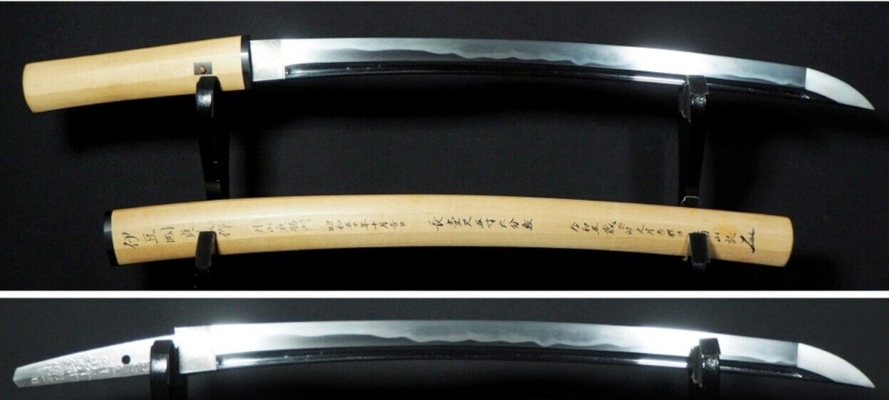 Japanese Sword Antique Wakizashi Shirasaya 榎本貞義 Sadayoshi From Japan Katana