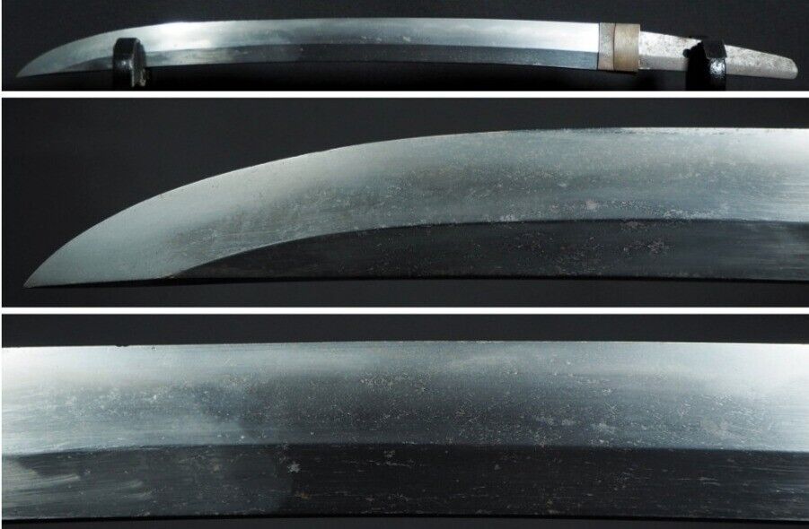 Japanese Sword Antique Wakizashi Koshirae 氏雲作 15.3 inch From Japan Katana