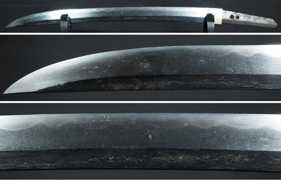 Japanese Sword Antique Wakizashi Shirasaya 無銘 Mumei 14.6 inch From Japan Katana